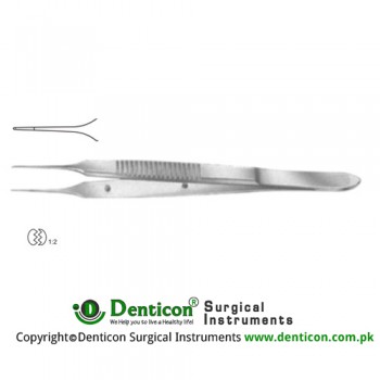 Dissecting Forceps 1 x 2 Teeth Stainless Steel, 10.5 cm - 4"